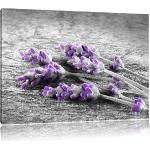 Lavendelfarbene Pixxprint Leinwandbilder mit Lavendel-Motiv Querformat 