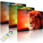 Weiße LED Bilder & Leuchtbilder mit Löwen-Motiv aus MDF 60x80 