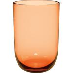 Aprikose Moderne Villeroy & Boch Like Glasserien & Gläsersets aus Glas 2-teilig 