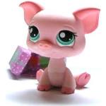 Littlest Pet Shop Hasbro 22967 361 Schwein mit Geschenkkarton