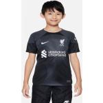 Graue Nike Dri-Fit FC Liverpool FC Liverpool Trikots für Kinder zum Fußballspielen 2022/23 