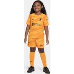 Liverpool FC 2023/24 Goalkeeper dreiteiliges Nike Dri-FIT-Set für jüngere Kinder - Gelb