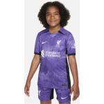 Liverpool FC 2023/24 Stadium Third Nike Dri-FIT Fußballtrikot für ältere Kinder - Lila