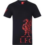 Marineblaue FC Liverpool T-Shirts für Herren Größe 3 XL 