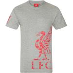 Graue FC Liverpool T-Shirts für Herren Größe 3 XL 
