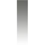 Livetastic WANDSPIEGEL, rechteckig, 42x170x3 cm, senkrecht und waagrecht montierbar, Ganzkörperspiegel, Spiegel, Wandspiegel