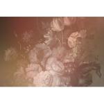 Rosa Blumenmuster Rosen-Fototapeten aus Papier UV-beständig 
