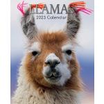 Llamas – Lamas 2023 – 16-Monatskalender: Original