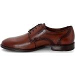 Reduzierte Braune Business Lloyd Blockabsatz Derby Schuhe mit Schnürsenkel in Breitweite aus Glattleder für Herren Größe 42,5 