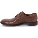 Reduzierte Braune Business Lloyd Blockabsatz Derby Schuhe mit Schnürsenkel in Breitweite aus Glattleder für Herren Größe 42 