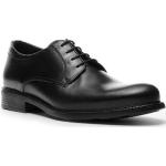 Schwarze Business Lloyd Bio Derby Schuhe mit Schnürsenkel aus Kalbsleder Isoliert für Herren 