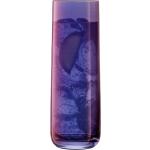 Violette LSA Glasserien & Gläsersets aus Glas 4-teilig 