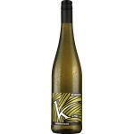 Reduzierte Trockene Deutsche Kesselring Sauvignon Blanc Bio Weißweine Jahrgang 2012 0,75 l 