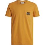 Reduzierte Goldene Lundhags Bio T-Shirts aus Baumwolle für Herren Größe S 