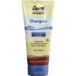 Luvos Heilerde Shampoo