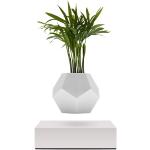 Weiße 10 cm Klein & More Quadratische Pflanzkübel & Blumentöpfe 10 cm aus Ahorn mit Wasserspeicher 