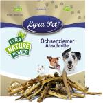 1 kg Lyra Pet Ochsenziemer 