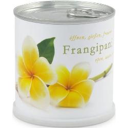 MacFlowers® Anzuchttopf »Frangipani Plumeria Blumen in der Dose tropische Schönheit mit duftenden Blüten«, T 75x B 75x H 80 cm, weiß