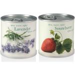 MacFlowers® | Kleines Anzuchtset mit Erdbeere und Lavendel | Nachhalötiges Geschenk-Set mit Zwei Sorten Saatgut in süßen Blumendosen