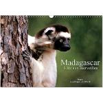 Calvendo Madagascar Fotokalender DIN A3 Querformat 
