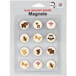 Magnet-Sets aus Glas 12-teilig 