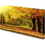 Magnettafel Pinnwand Bild Wald Herbst Blätter bunt Natur gekantet