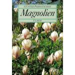 Magnolien & Magnolia 