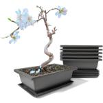 Dunkelbraune Rechteckige Blumentopf Untersetzer & Blumenuntersetzer aus Kunststoff Indoor 6-teilig 