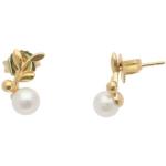 Goldene Majorica Perlenohrringe mit Echte Perle für Damen 