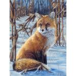 Ausmalbilder Tiere mit Fuchs-Motiv für 7 - 9 Jahre 