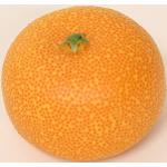 Oranges DPI Rundes Deko-Obst aus Kunststoff 