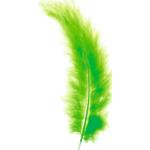 Hellgrüne Glorex Bastelfedern 15-teilig 