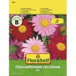 FloraSelf Blumensamen & Pflanzensamen 