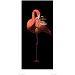 Bunte Poster mit Flamingo-Motiv 30x60 