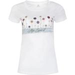 Graue Kurzärmelige MarJo Erna Rundhals-Ausschnitt T-Shirts aus Baumwolle für Damen Größe L 