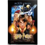 Harry Potter XXL Poster & Riesenposter aus Papier 