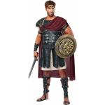 Mens Roman Gladiator Warrior Greek History Fancy Dress Costume