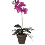 Violette Mica Decorations Künstliche Orchideen aus Terrakotta 