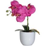 Violette Mica Decorations Runde Künstliche Orchideen im Topf 