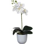 Weiße Runde Künstliche Orchideen im Topf 