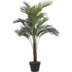 Mica Palme im Topf grün, 110 x 70 cm - [0660754660]