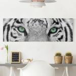 Weiße Leinwandbilder mit Tigermotiv strukturiert aus Holz Querformat 30x90 