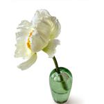 Grüne Vasen & Blumenvasen aus Glas mundgeblasen 