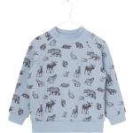 Blaue Kaschmir-Pullover für Kinder aus Wolle Größe 68 