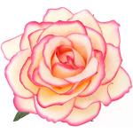 Rosa Blumenmuster Pin Up Haarspangen Hochzeit für Damen für die Braut 