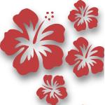 MIXED SET HIBSIKUS Blüten, 4 Stück rote Autoaufkle