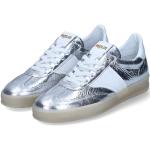 Silberne Mjus Low Sneaker mit Schnürsenkel aus Glattleder für Damen Größe 40 
