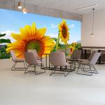 Bunte Blumenmuster Moderne Sonnenblumen-Fototapeten mit Blumenmotiv aus Papier 