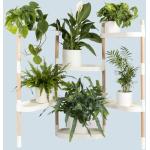 Reduzierte Weiße Citysens Nachhaltige Blumenständer aus Recyclingholz Breite 100-150cm, Höhe 100-150cm, Tiefe 0-50cm 