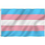 LGBT Trans Pride Nationalflaggen & Länderflaggen aus Stoff 